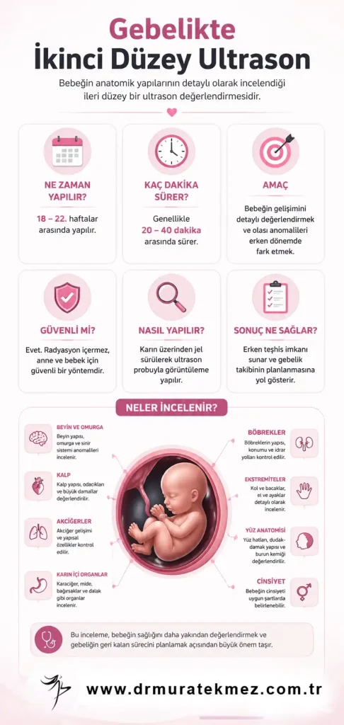 Gebelikte İkinci Düzey Ultrasonografi Nedir?