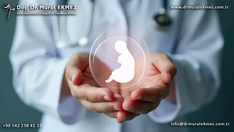Tüp Bebek İnvitro Fertilizasyon (IVF) Süreci ve Detayları