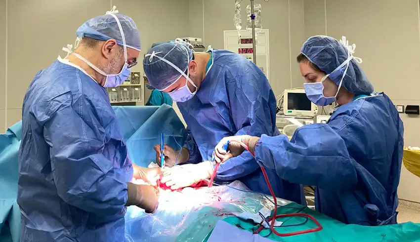 Açık Miyom Ameliyatı (Abdominal Miyomektomi) Doç Dr. Murat Ekmez