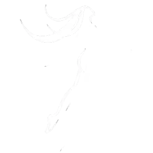 Doç. Dr. Murat Ekmez Logo Beyaz