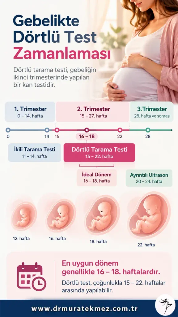 Dörtlü Tarama Testi Ne Zaman Yapılır?