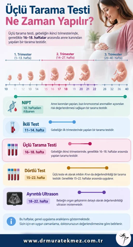 Üçlü Tarama Testi Ne Zaman Yapılır?